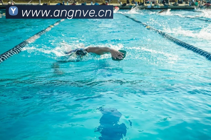 App Interface Preview